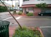 after the storm.jpg