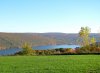 IMG_1336.jpg