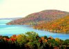 IMG_1364.jpg